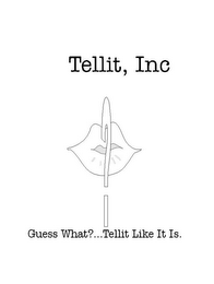 TELLIT, INC GUESS WHAT?..TELLIT LIKE IT IS. logo