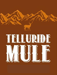 TELLURIDE MULE logo