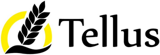 TELLUS logo