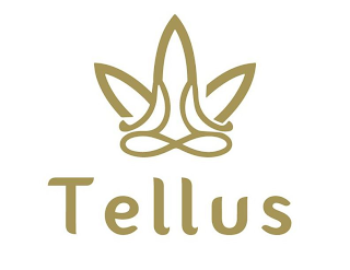 TELLUS logo