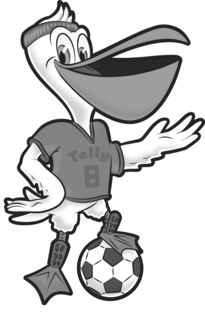 TELLY 8 logo