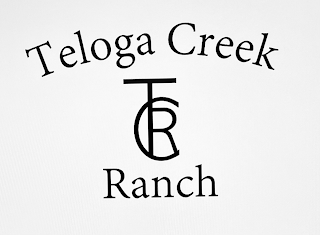 TELOGA CREEK RANCH TCR logo