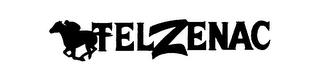 TELZENAC logo