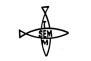 TEM SEM logo