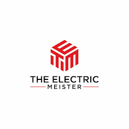 TEM THE ELECTRIC MEISTER logo
