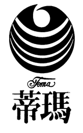 TEMA logo