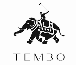 TEMBO logo