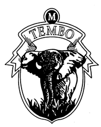 TEMBO M logo