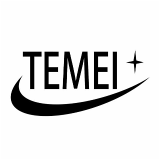 TEMEI logo