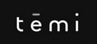 TEMI logo