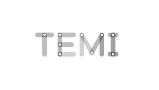 TEMI logo