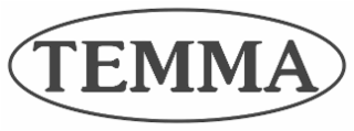 TEMI logo