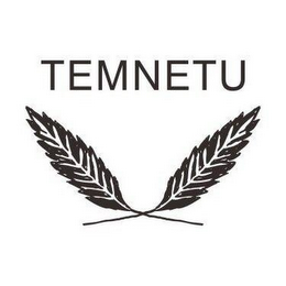 TEMNETU logo