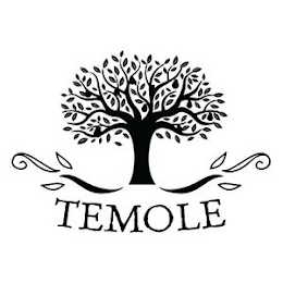 TEMOLE logo