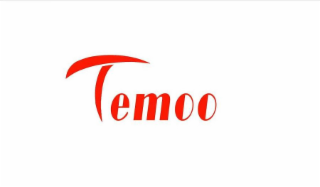TEMOO logo