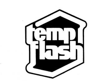 TEMP FLASH logo