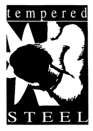 TEMPERED STEEL logo