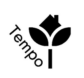 TEMPO logo