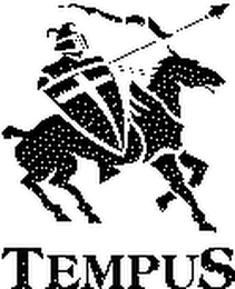 TEMPUS logo