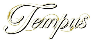 TEMPUS logo