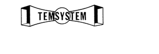 TEMSYSTEM logo
