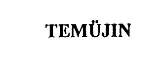 TEMUJIN logo