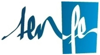 TEN FE logo