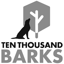 TEN THOUSAND BARKS logo