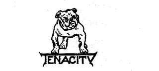 TENACITY logo