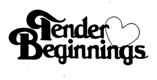TENDER BEGINNINGS logo