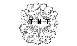 TENDER NUTRITIOUS TASTY TNT logo