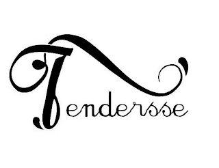 TENDERSSE logo