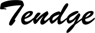 TENDGE logo