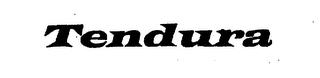 TENDURA logo