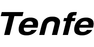 TENFE logo