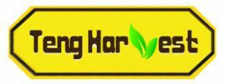 TENG HARVEST logo