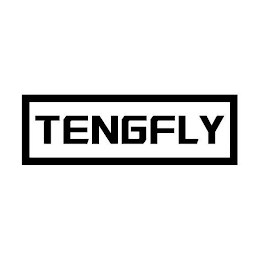 TENGFLY logo
