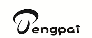 TENGPAI logo