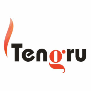 TENGRU logo