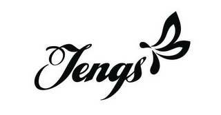 TENGS logo