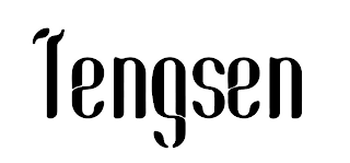 TENGSEN logo