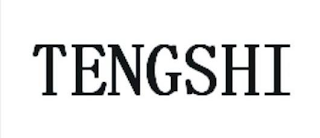 TENGSHI logo