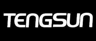 TENGSUN logo