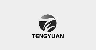 TENGYUAN logo