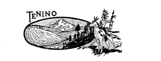 TENINO logo