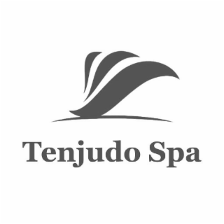 TENJUDO SPA logo