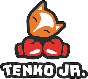 TENKO JR. logo