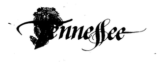 TENNESSEE logo