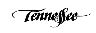 TENNESSEE logo