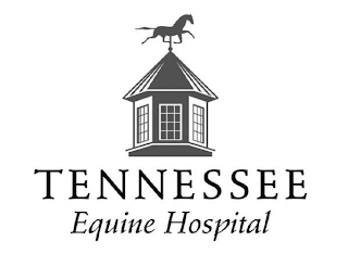 TENNESSEE EQUINE HOSPITAL logo